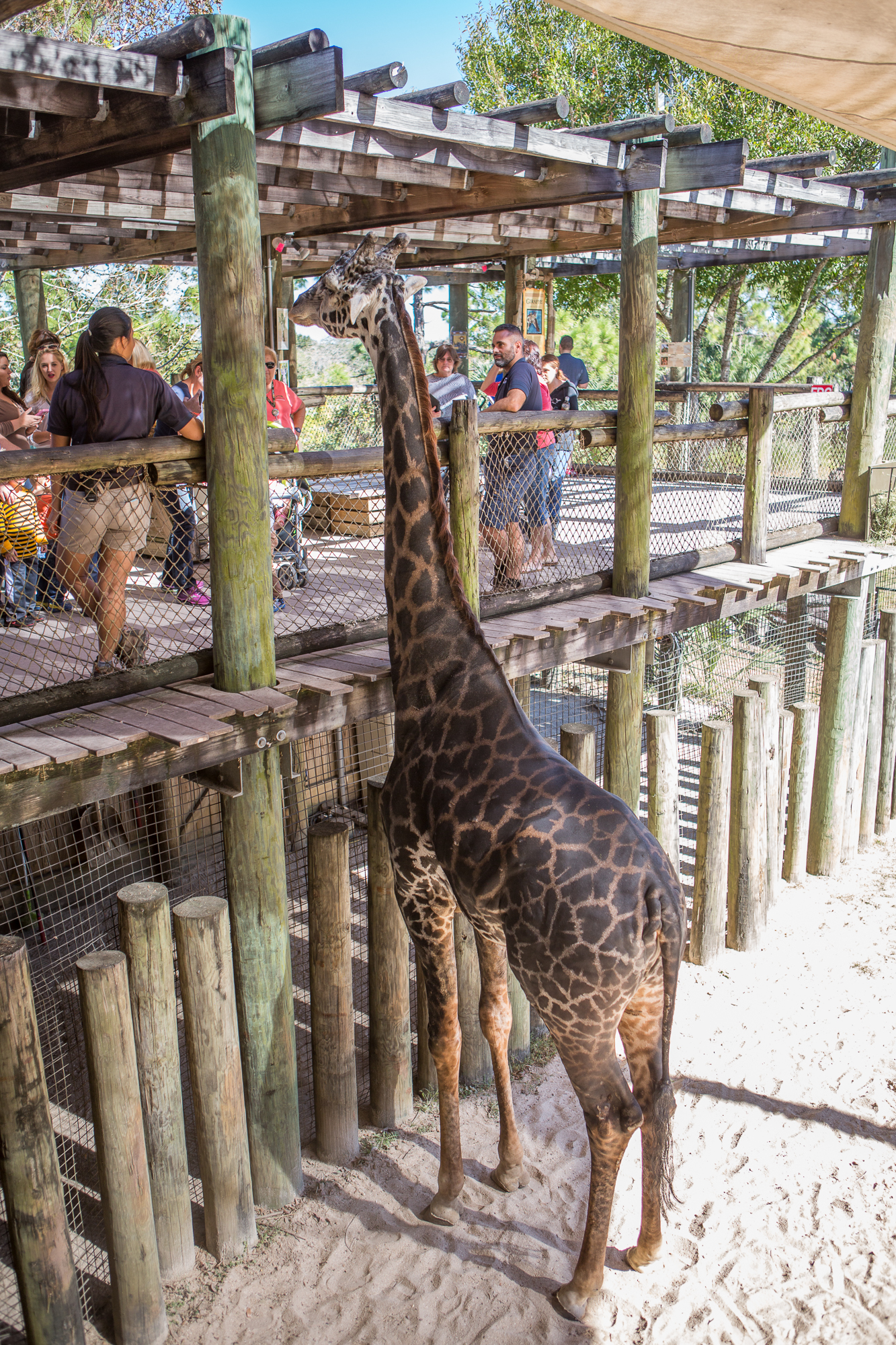 florida-2016-web-sized-1030