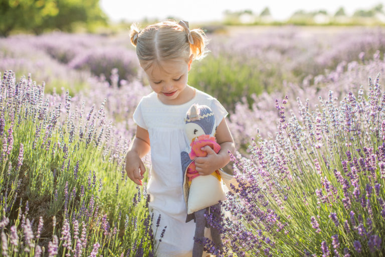 The Lavender Merchant
