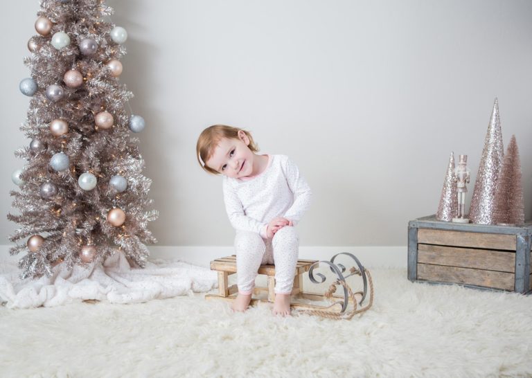 Holiday Minis | Merry & Bright