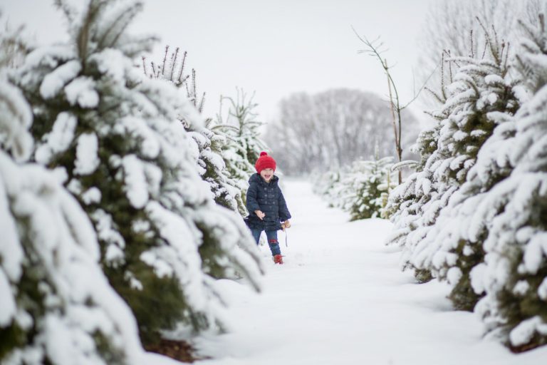 Winter Wonderland