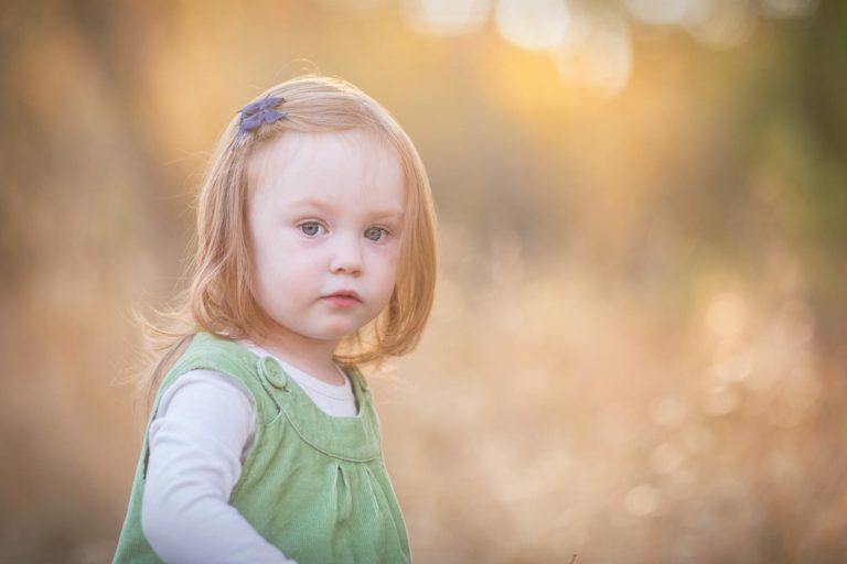 Fall Minis | B Family