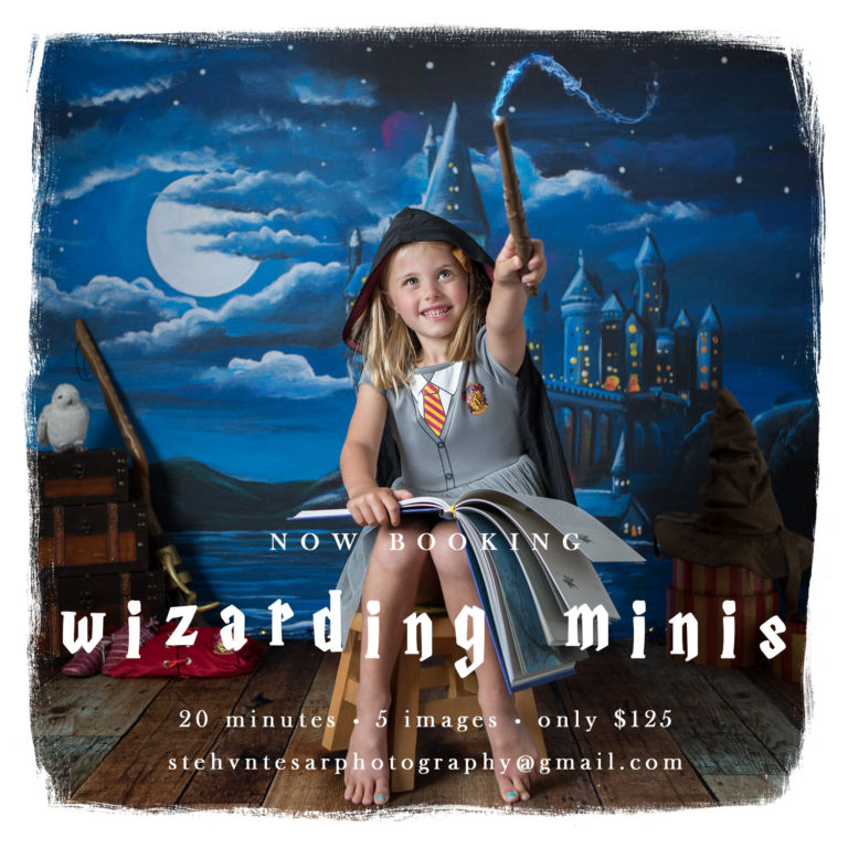 Wizarding Studio Minis