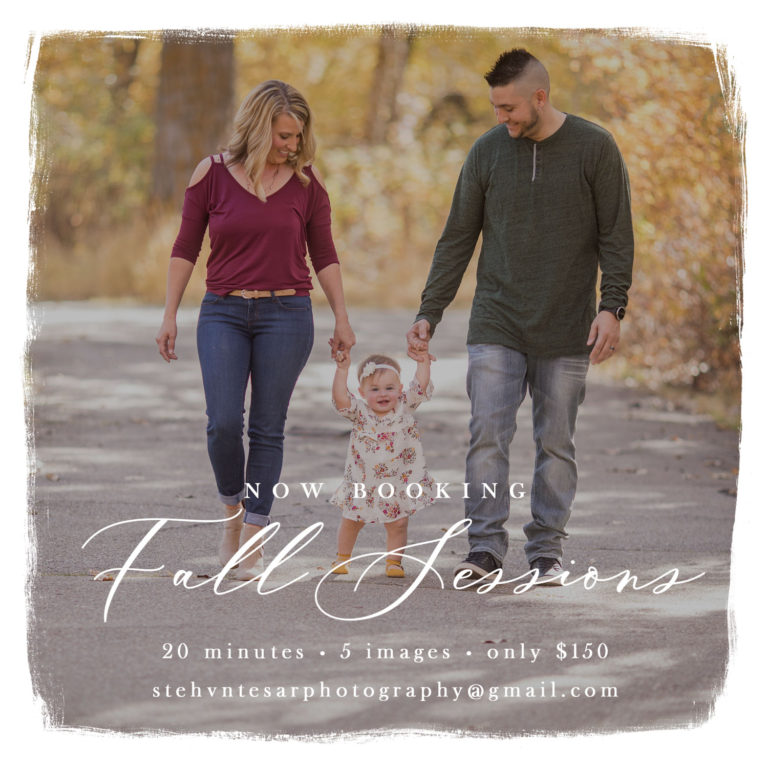 Fall Minis | October 2019